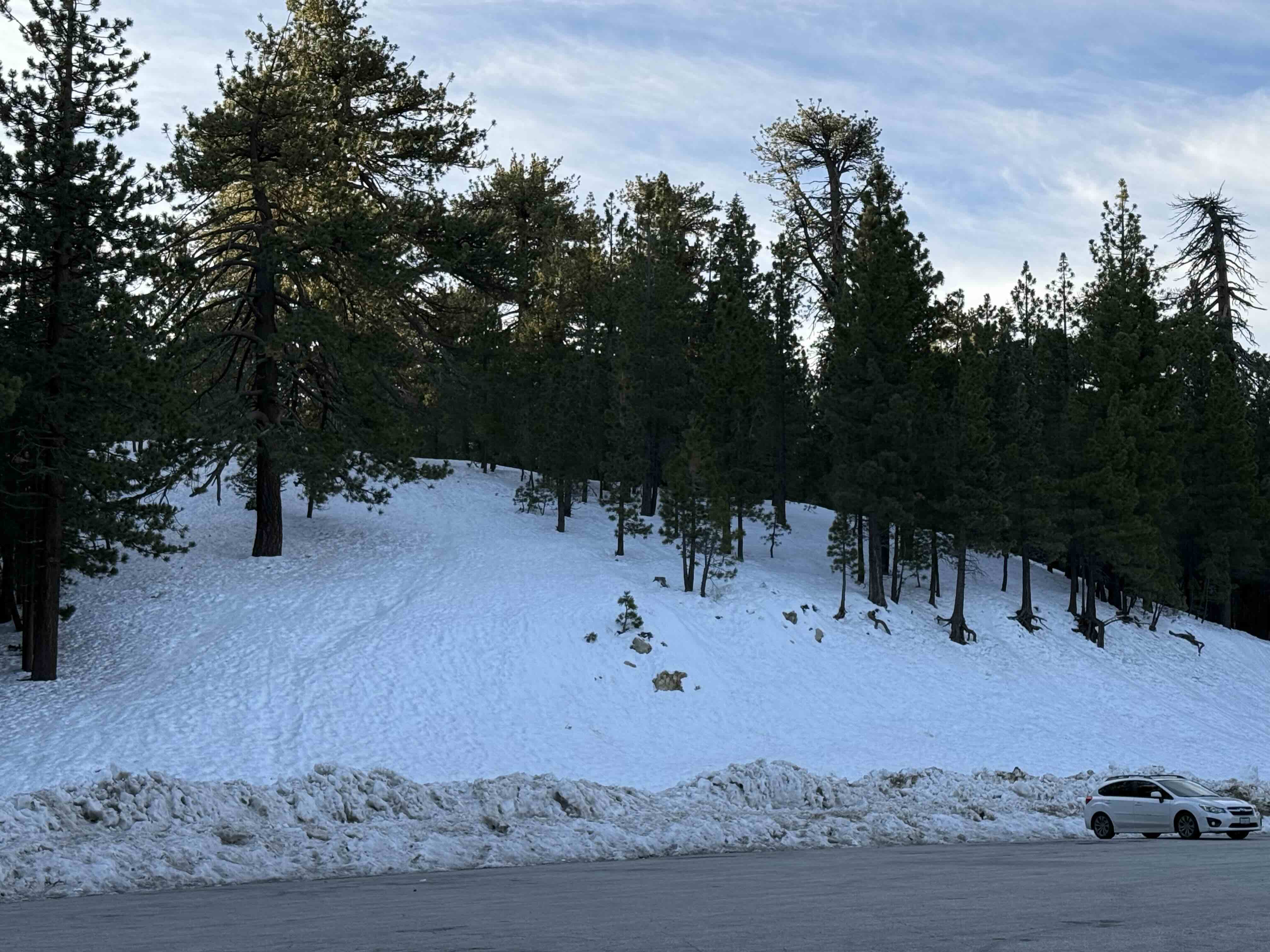 Member posted image.